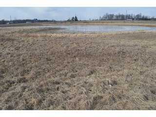 Property photo 56 - 127 Acres Offered in 8 Tracts - Allen & Dekalb County Land